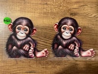 Image 20 of Wildlife Decals