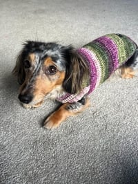 Image 4 of Snazzy Bramble 