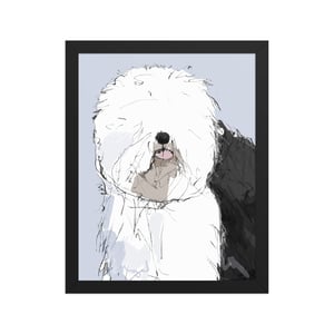 Image of ENGLISH SHEEP DOG