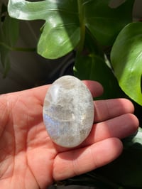 Image 4 of Moonstone Palm Crystal (9)