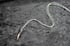 Dead Good Pheasant toe necklace with lolite crystal stone copy Image 10