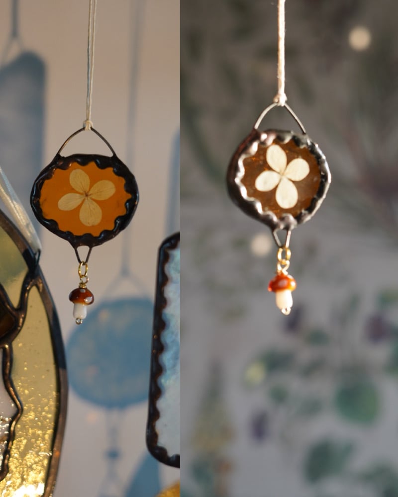 teeny mini pressed flower 