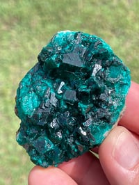 Image 3 of Dioptase Specimen #1695