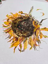 Image 3 of "Wilted Sunflower" Original
