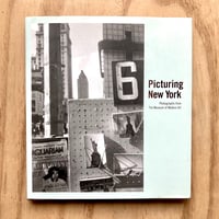 Image 1 of Picturing New York - Photographs From The Museum of Modern Art