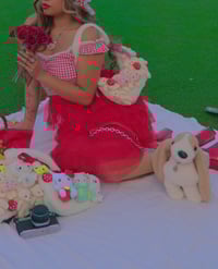 Image 5 of strawbeary fields forever plushie bag