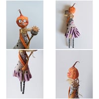 Image 4 of Pumpkin Poppy