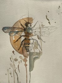 Image 1 of Abeille 