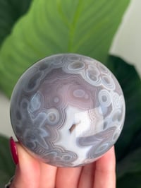 Image 5 of MOZAMBIQUE SWAZI AGATE SPHERE M