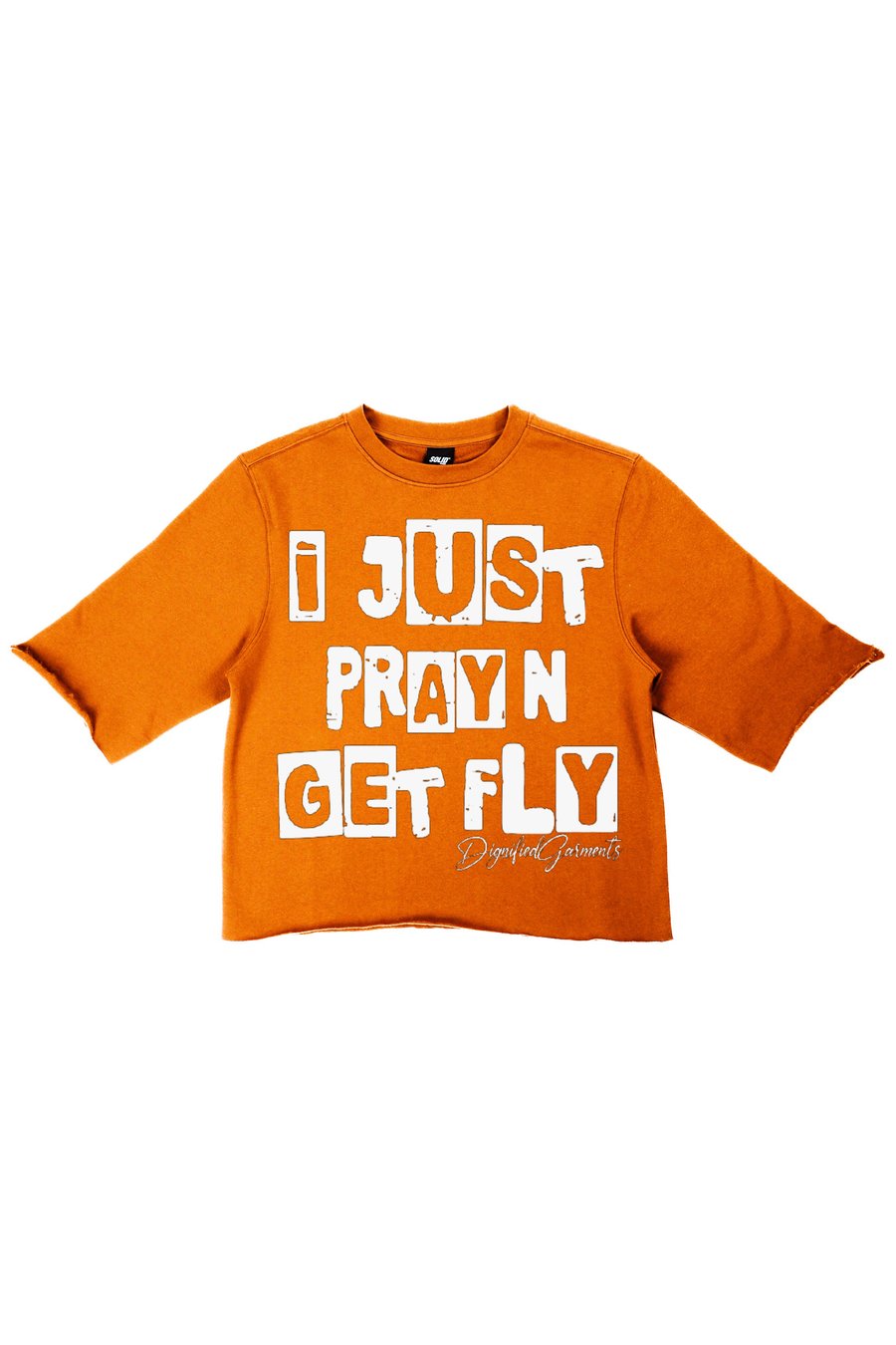 Image of “Pray N Get Fly” Tee (Tiger)
