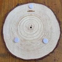 Image 5 of Wooden Record