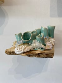 Image 1 of Brit Schmid / "Tethered"