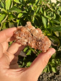 Image 3 of Aragonite Cluster