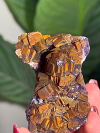 Image 2 of NATURAL RAINBOW IRIDESCENT CUBIC FLUORITE -CHINA- M