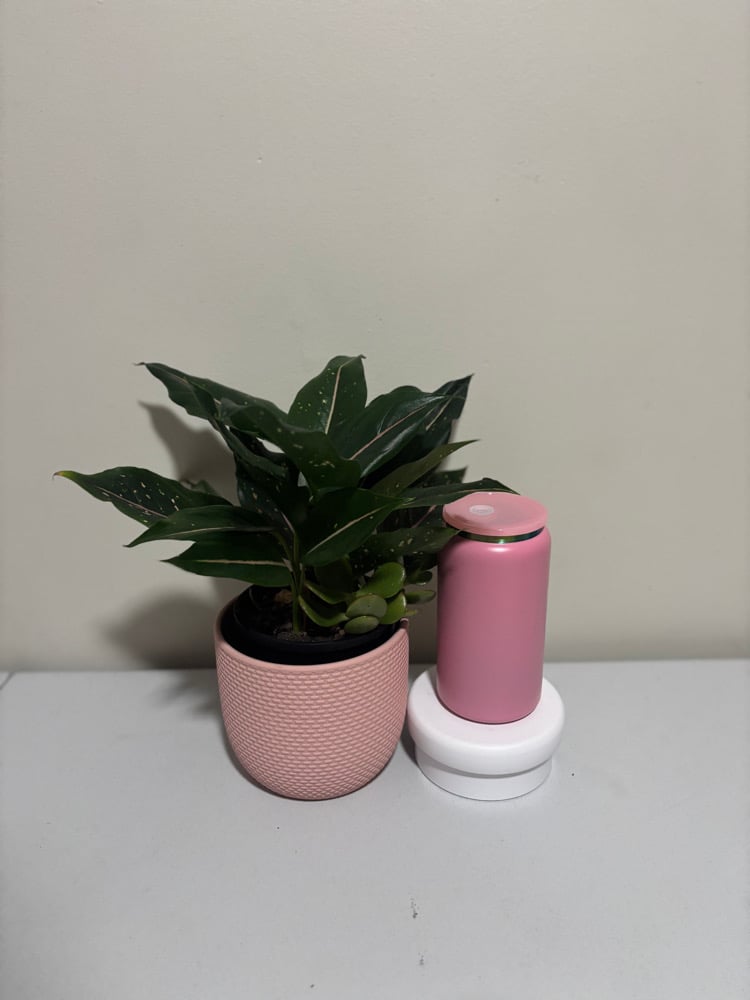 Powder Coated Libby Can - Rainbow Plated