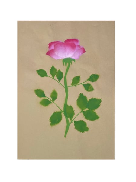 Image of Rose ‘Ulrich Brunner’ - 1 rose (1)