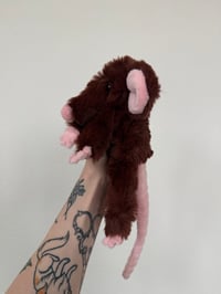 Image 12 of Mystery Rat Pre-Orders 