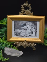 Image 1 of Vintage Alice Collection with preserved web - Giant Alice