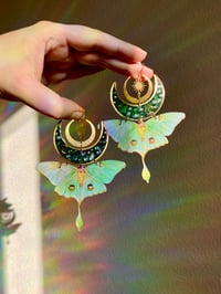 Image 5 of 🌙💚Luna Moths💚🌙