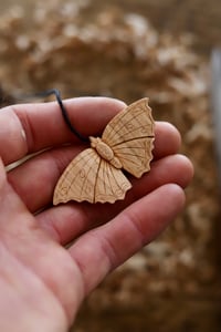 Image 3 of Tortoiseshell Butterfly 