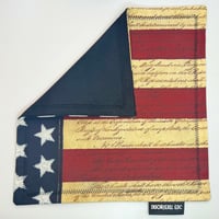 Image 3 of American - Articles