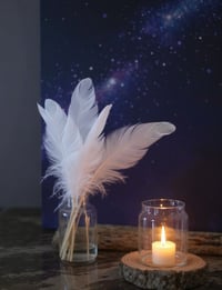 Image 1 of Natural White Feathers