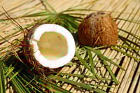  Coconut 