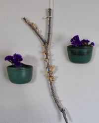 Image 2 of 'Esmeralda' Floating Pot Set