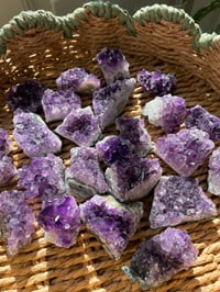 Image 5 of Amethyst Cluster (Large)