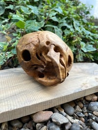 Image 3 of 1:1 scale Foetus Skull, hand carved Boxwood