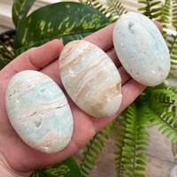 Caribbean Calcite Palmstone