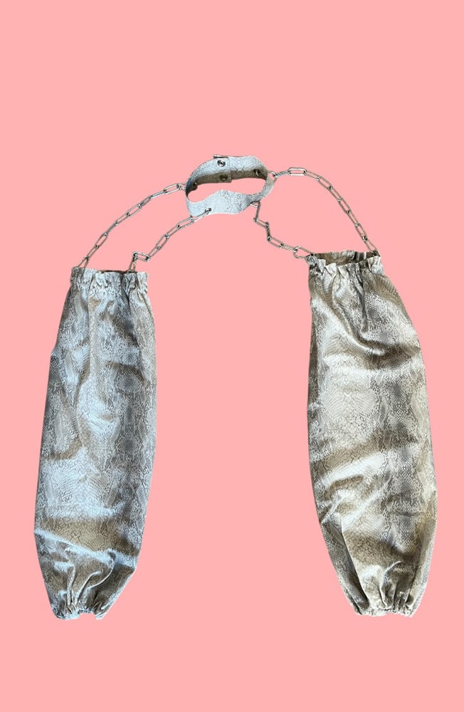 Image of Silver Snake corset