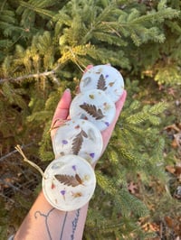 Image 1 of Botanical Ornaments Set of 4