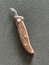 Image 2 of Mini c Cocobolo