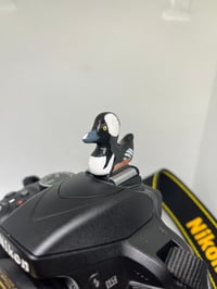 Image 4 of Hooded Merganser Hotshoe Cover