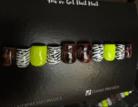 Image 1 of Tortoise Shell 