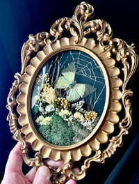 Image 3 of Green African Butterfly Botanical Frame