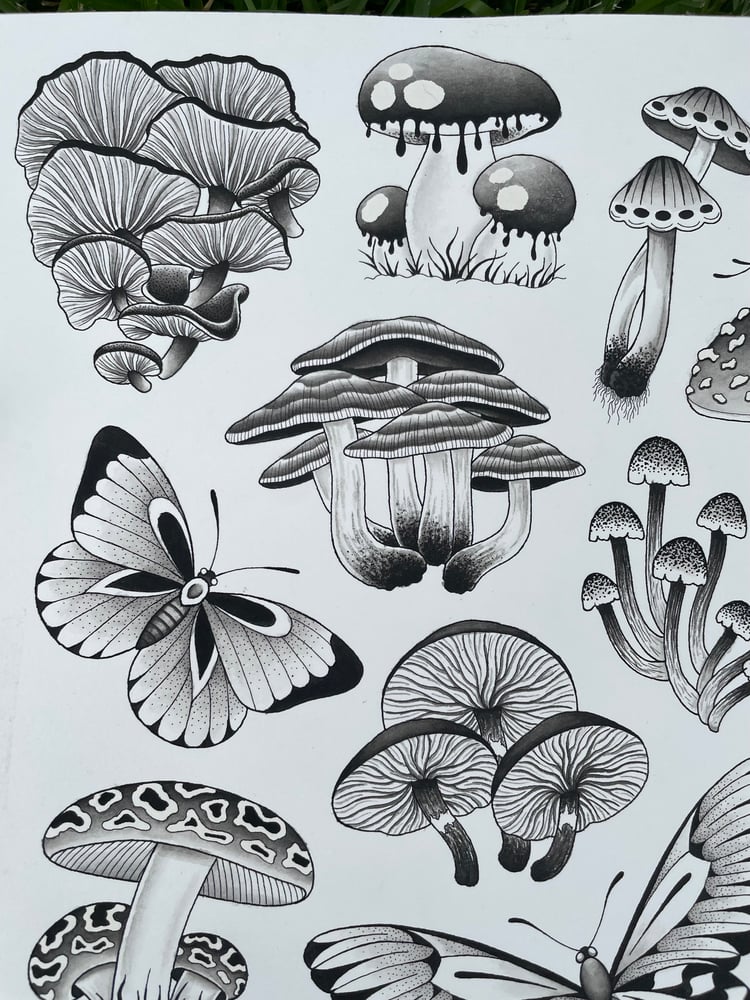 Mushroom flash sheet | Siarnthecatwitch