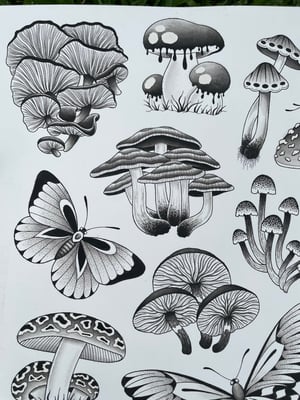 Image of Mushroom flash sheet 