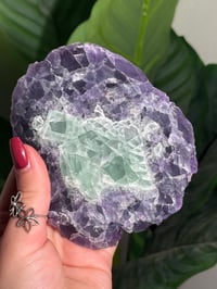 Image 2 of BLUE/PURPLE FLUORITE -CHINA- A