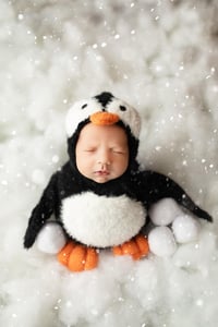Image 1 of Fluffy Little penguin potato pouch and bonnet