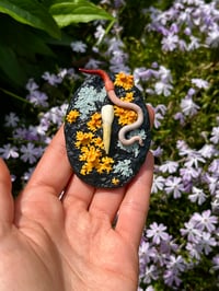 Image 4 of Newest Additions: Worm Dome & Mini Finders Keepers