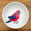 Crimson Rosella Trinket Dish