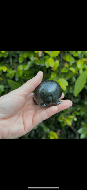 Image of Magical Rain Frog