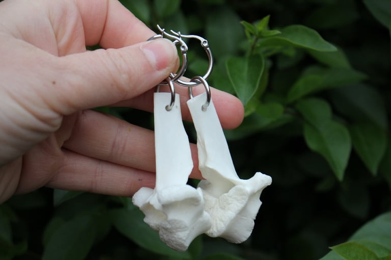 dead good sheep vertebrae earrings Image 4