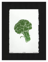Image 4 of Broccoli Floret