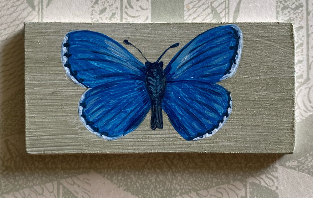 Image of Miniature Butterfly (B)