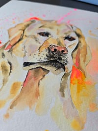 Image 3 of "Yellow Labrador" Original