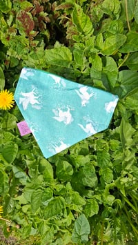 Image 1 of Pegasus | Pet Bandana