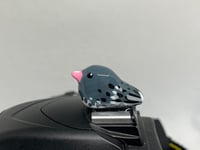 Image 1 of Dark-eyed Junco Hotshoe Cover